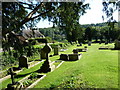 An early morning visit to All Saints, Dewlish (B)