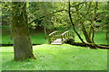 Bridge over Sherborne Brook