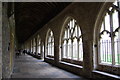 SU8504 : The Cloisters, Chichester Cathedral by Julian P Guffogg