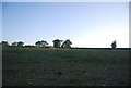 Farmland north of Watton Rd