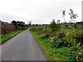 Ballyhalligan Road, Beragh