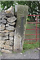 Benchmark on Quarry Road gatepost