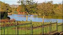 J3675 : Old fence, Victoria Park, Belfast by Albert Bridge
