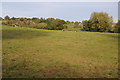 Farmland near Twyn-y-Sheriff