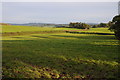 Farmland at Llandenny