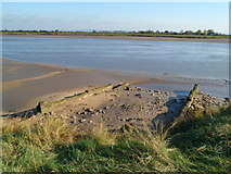SO6911 : Remains of the ferry landing at Newnham-on-Severn by Jaggery