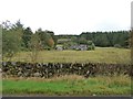 Looking towards Low Lochbank