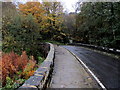 Bridge over Oak Beck