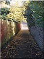 Footpath - Lady Lane