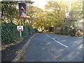 Greenhill Lane - viewed from Lady Lane