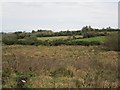 C1635 : Rough pasture, Carrick by Richard Webb