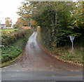 Estavarney Lane, Monkswood