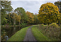 The Bridgewater Canal by Big Wood