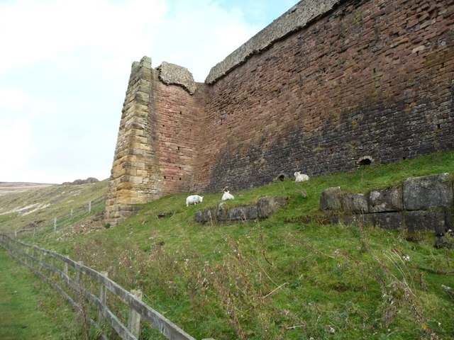 Sheep grazing inside the former calcining kilns
