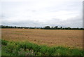 Farmland south of Canewdon