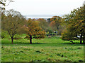 View towards Kent from Langdon Hills