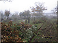 New Cemetery, Great Yarmouth