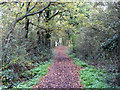 Bridleway running north from Dry Street