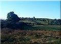 The flood plain of the Ballynahinch River