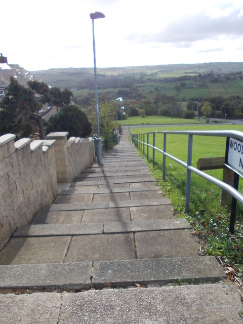 Steps - Woodford Close