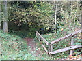 Steps to track bed of former rail line