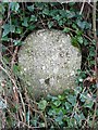 Boundary stone on the coast path