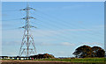 J2965 : Pylon  and power lines near Hilden by Albert Bridge