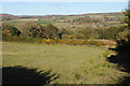 Farmland in the Welsh borders