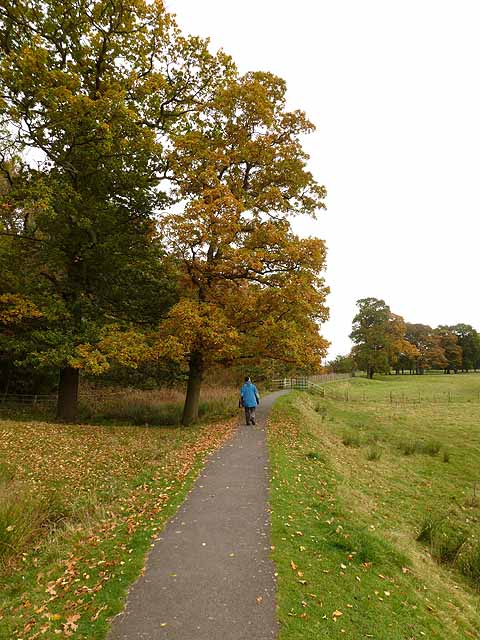 Path into Rickerby Park