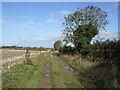 Farm track heading north near Haunton