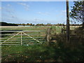 Footpath off Walton Road