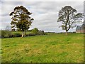 Derroar Townland