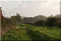 Waithe Beck bank after the rain