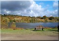 Fishing Lake in Holmebrook Valley Park