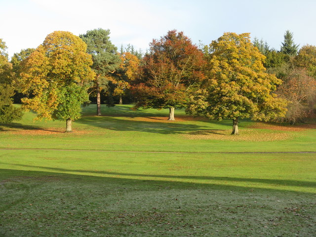Autumn trees in Callendar Park