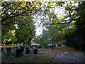 Path in Faversham Cemetery