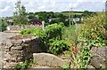 Footpath to Lower Dittisham