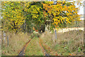 Farm track near Inchbrakie Farm