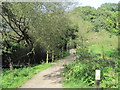 Footpath and footbridge over the River Dibbin