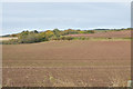 NN9523 : Farmland at Gorthy by Steven Brown