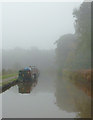 Foggy morning on the canal near Nantwich, Cheshire