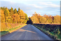 Road from Crieff to Madderty