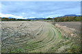 Farmland near Crieff