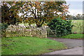 Bridleway from Wicken Road