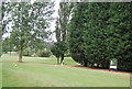 TQ9093 : 6th tee, Ballards Gore Golf Course by N Chadwick