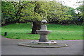 Water Fountain, Mayow Park