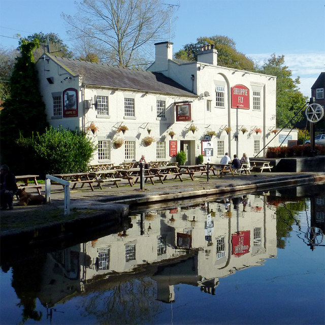 Phantom of the Shroppie by Dawn Hammill