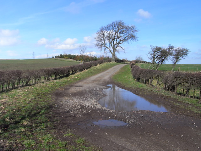 Byroad and farmland, Ilderton