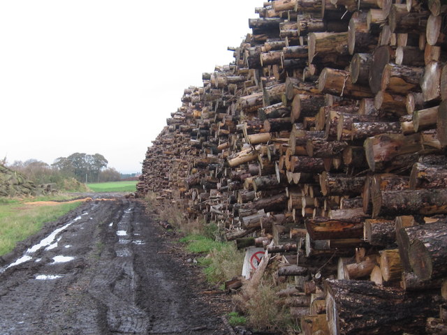 winter-fuel-allowance-peter-wood-cc-by-sa-2-0-geograph-britain-and