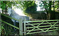 Horse at Workham Farm